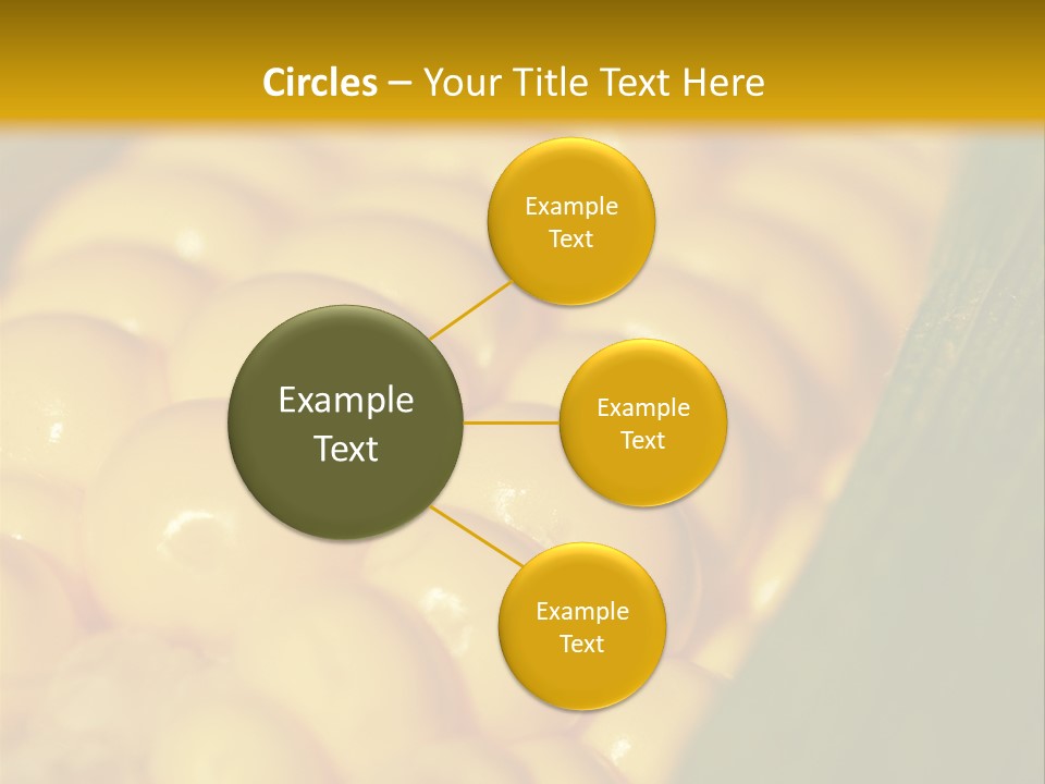 Closeup Vegetable Corn PowerPoint Template