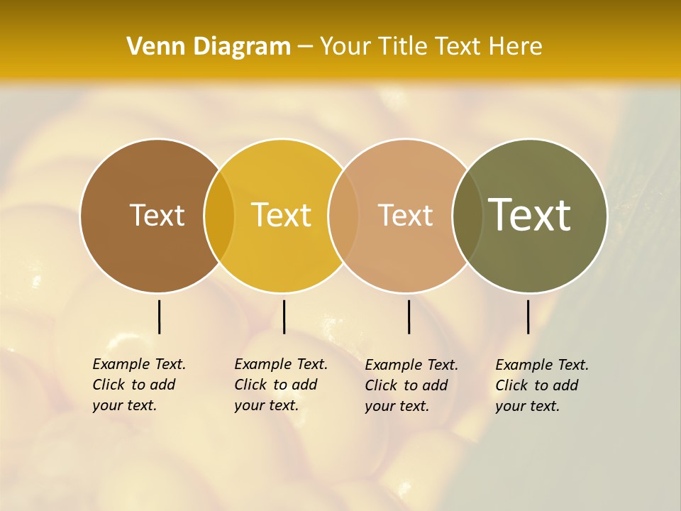 Closeup Vegetable Corn PowerPoint Template