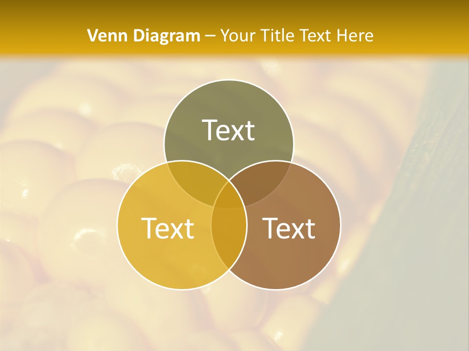 Closeup Vegetable Corn PowerPoint Template