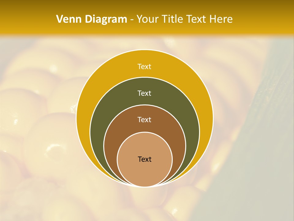 Closeup Vegetable Corn PowerPoint Template