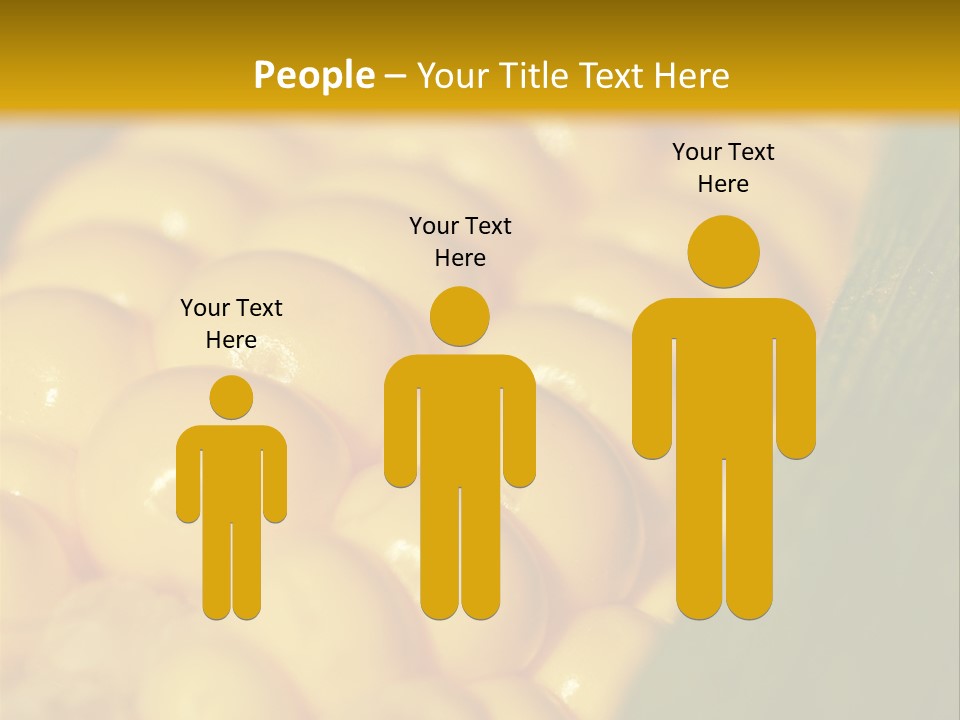 Closeup Vegetable Corn PowerPoint Template