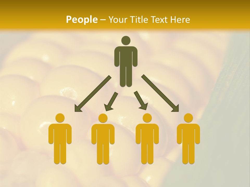 Closeup Vegetable Corn PowerPoint Template