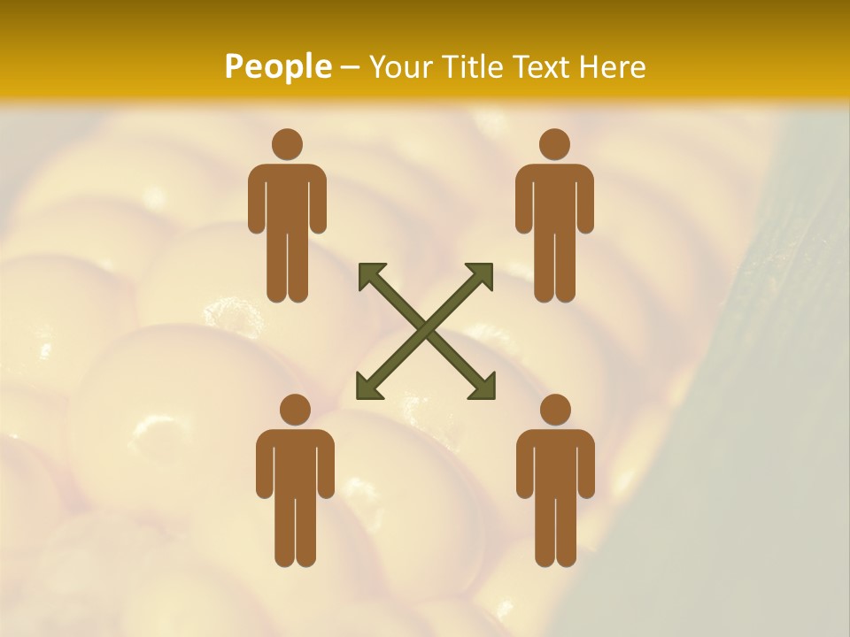 Closeup Vegetable Corn PowerPoint Template