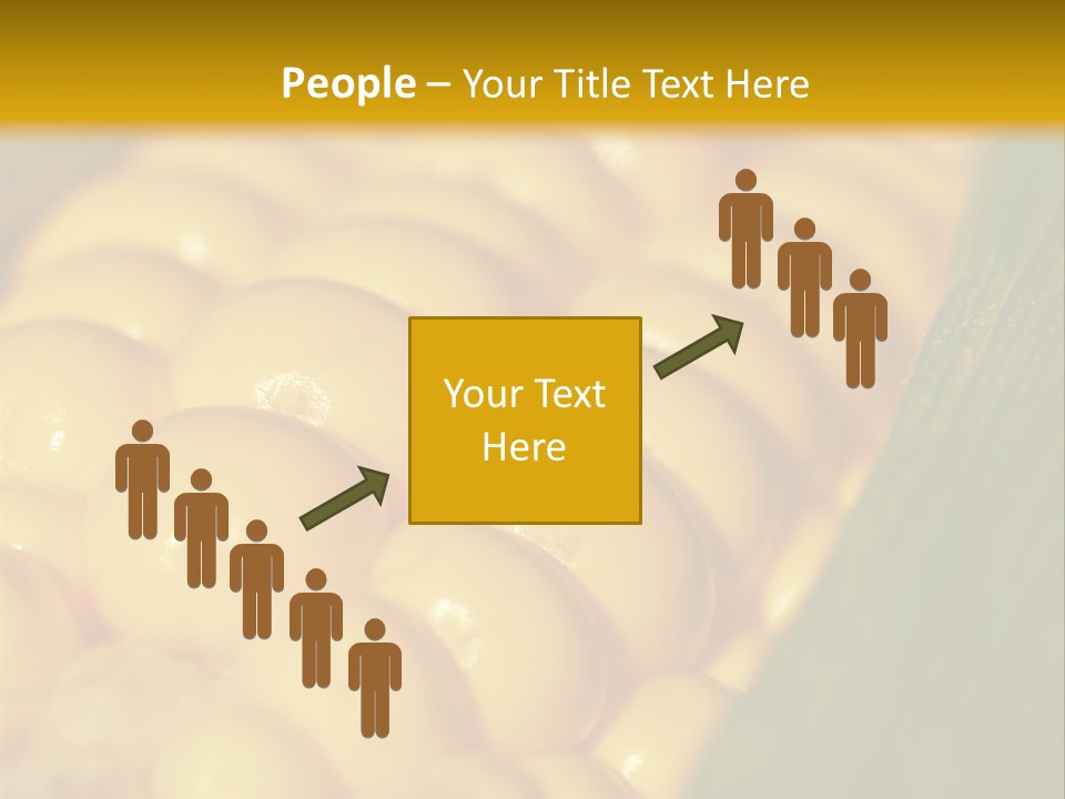 Closeup Vegetable Corn PowerPoint Template