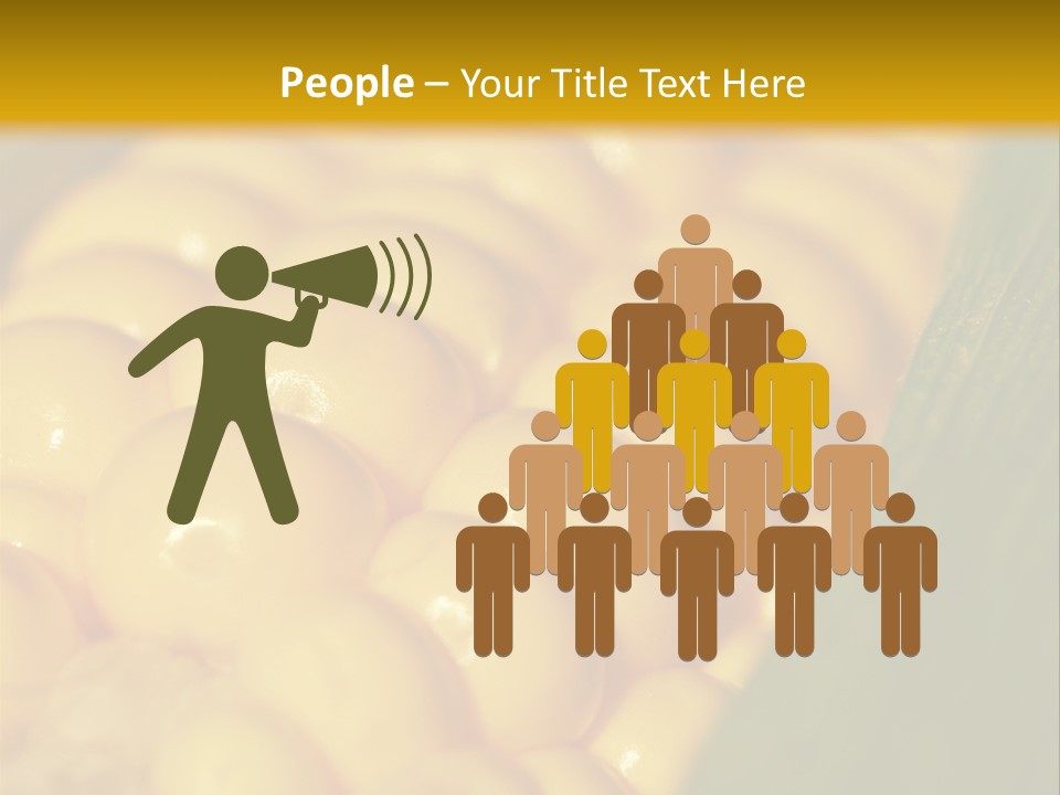 Closeup Vegetable Corn PowerPoint Template