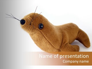 Play Toy Sealion PowerPoint Template