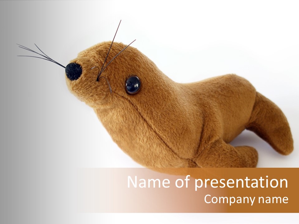 Play Toy Sealion PowerPoint Template