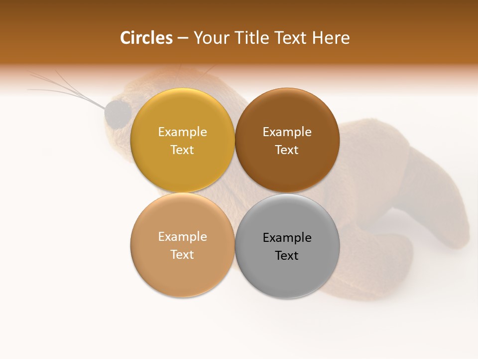 Play Toy Sealion PowerPoint Template