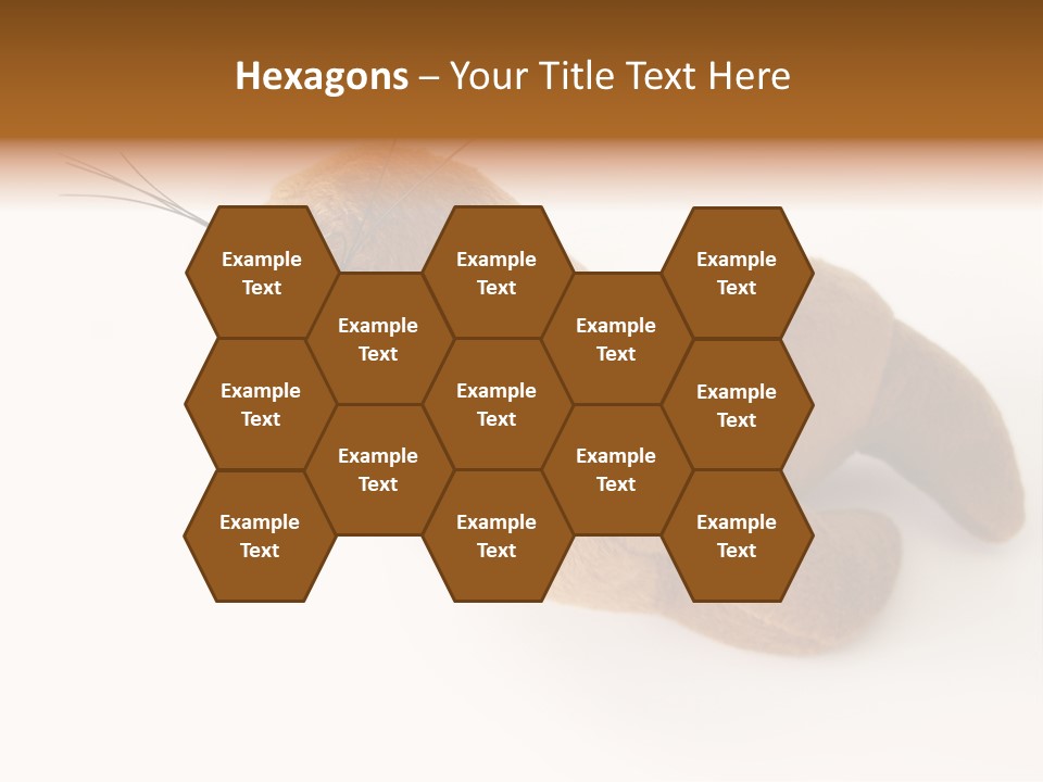 Play Toy Sealion PowerPoint Template