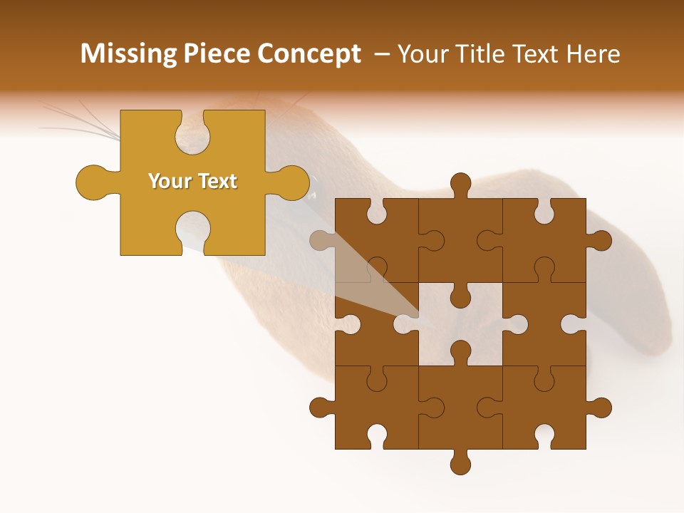 Play Toy Sealion PowerPoint Template