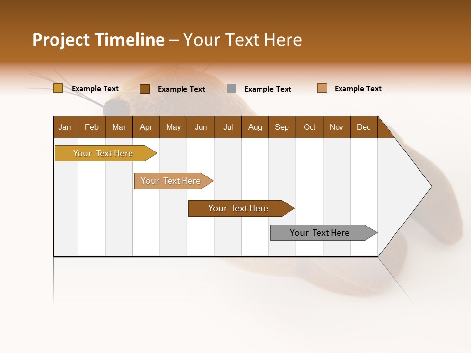 Play Toy Sealion PowerPoint Template
