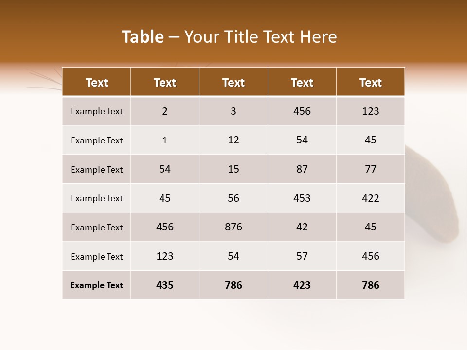 Play Toy Sealion PowerPoint Template