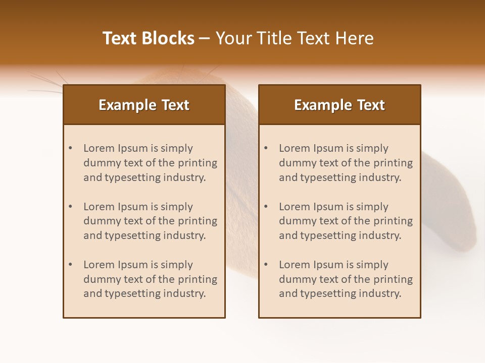 Play Toy Sealion PowerPoint Template