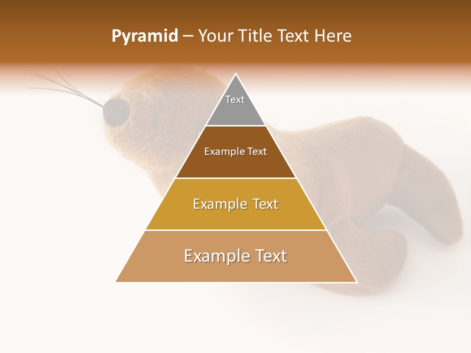 Play Toy Sealion PowerPoint Template