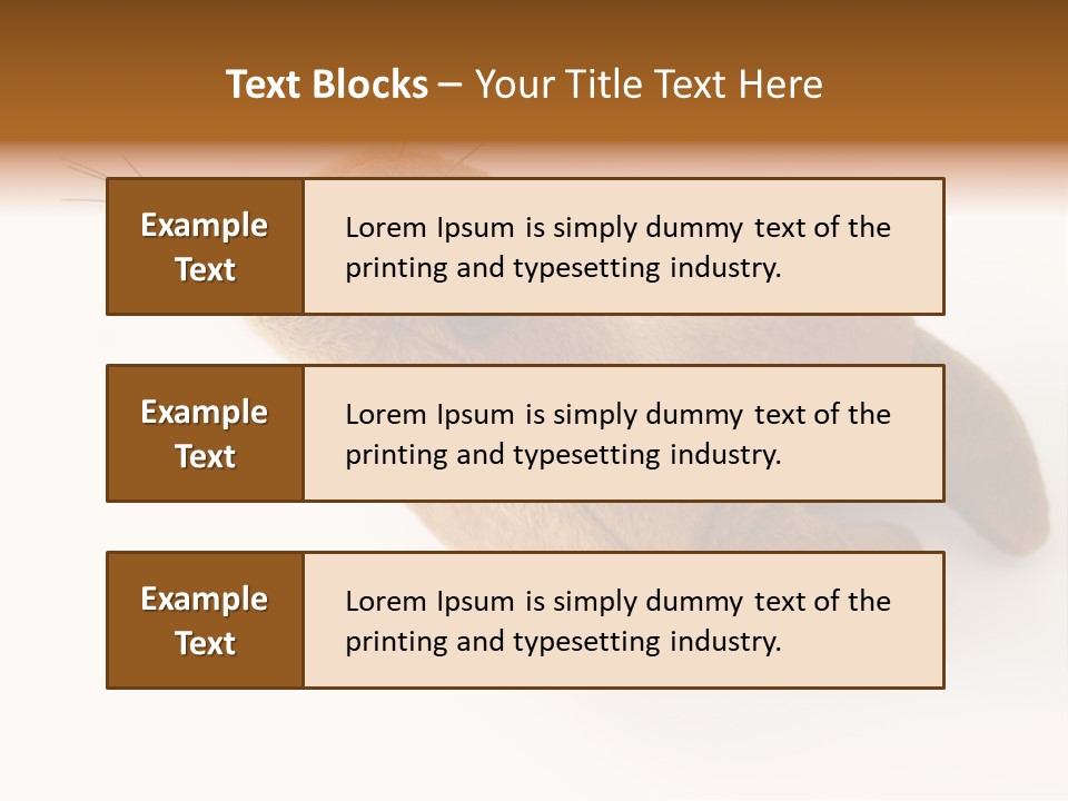 Play Toy Sealion PowerPoint Template