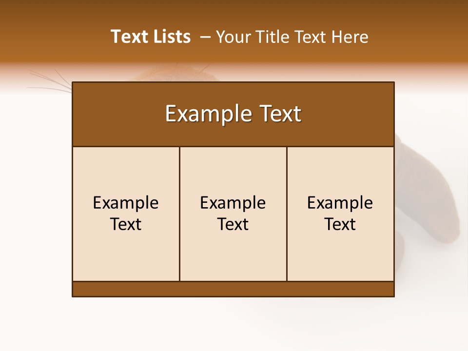 Play Toy Sealion PowerPoint Template