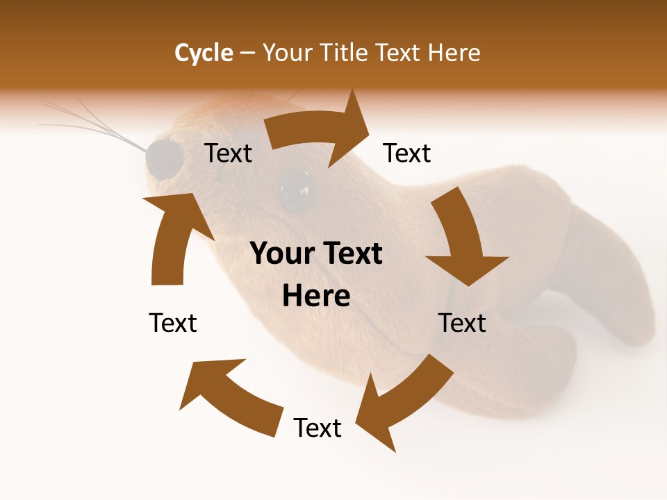 Play Toy Sealion PowerPoint Template