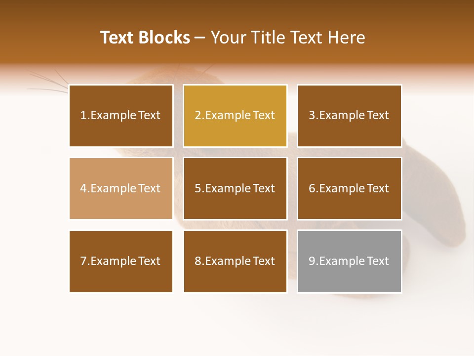 Play Toy Sealion PowerPoint Template