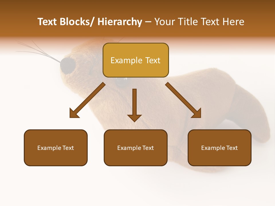 Play Toy Sealion PowerPoint Template