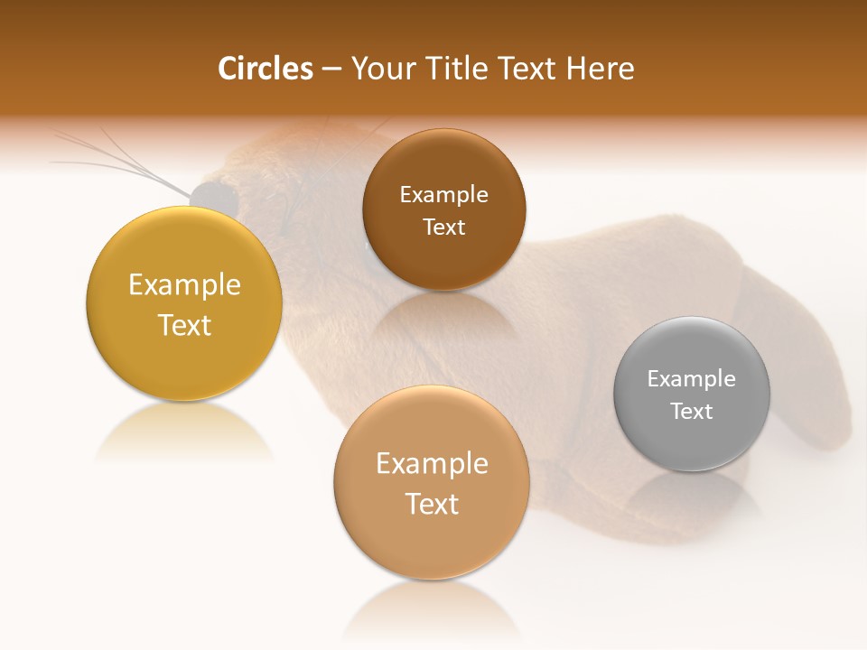 Play Toy Sealion PowerPoint Template