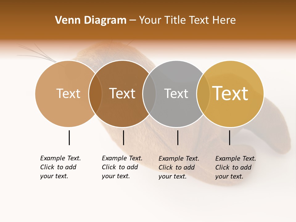 Play Toy Sealion PowerPoint Template