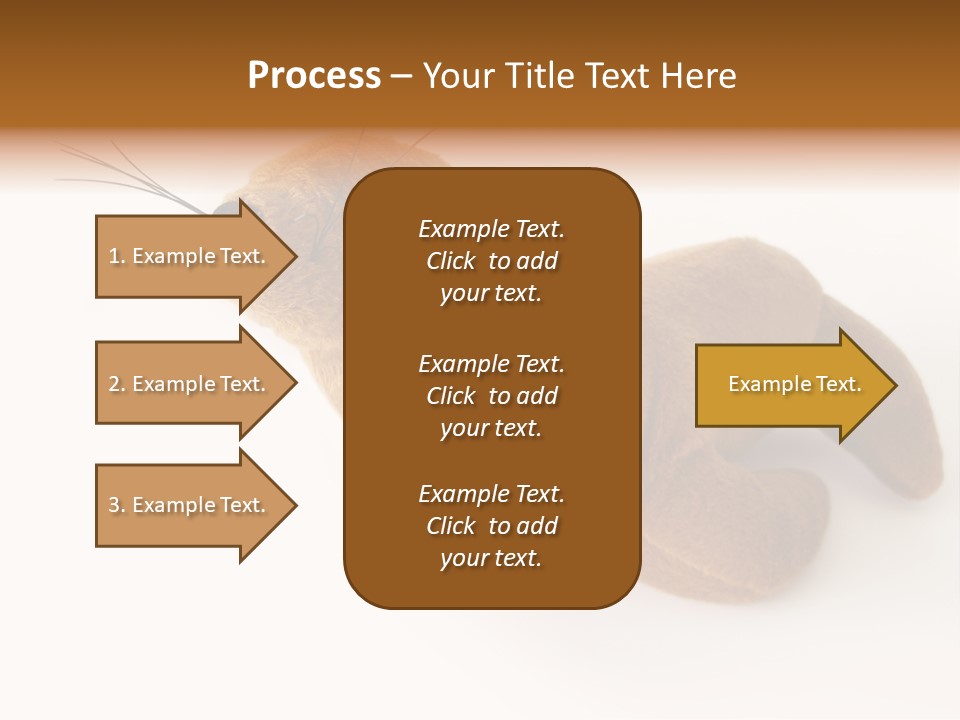 Play Toy Sealion PowerPoint Template