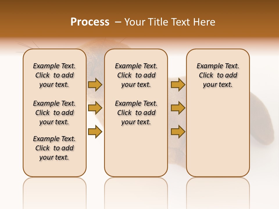Play Toy Sealion PowerPoint Template