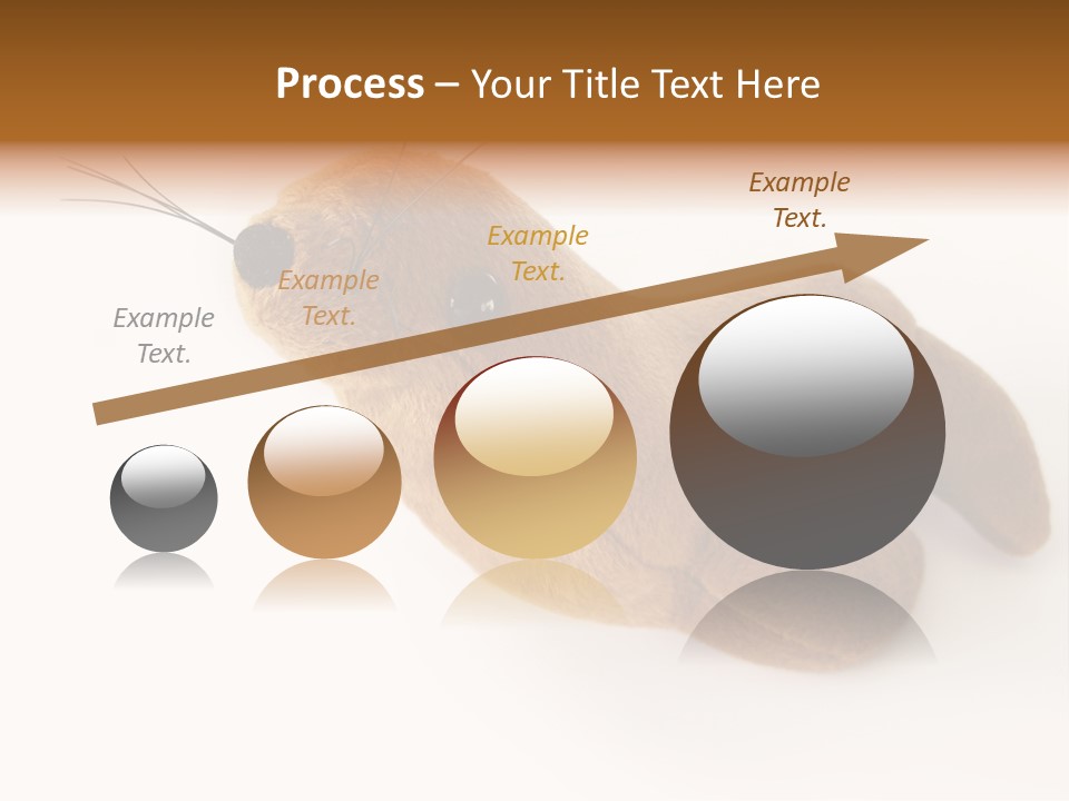 Play Toy Sealion PowerPoint Template