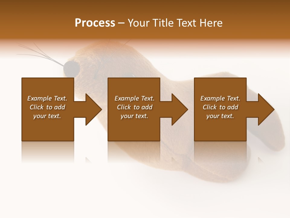 Play Toy Sealion PowerPoint Template