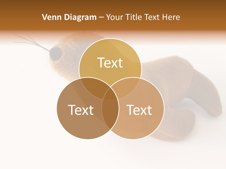 Play Toy Sealion PowerPoint Template