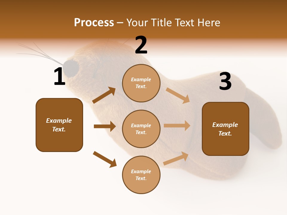 Play Toy Sealion PowerPoint Template