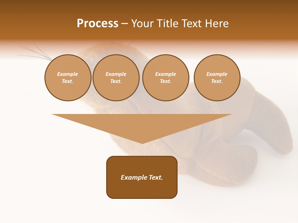 Play Toy Sealion PowerPoint Template