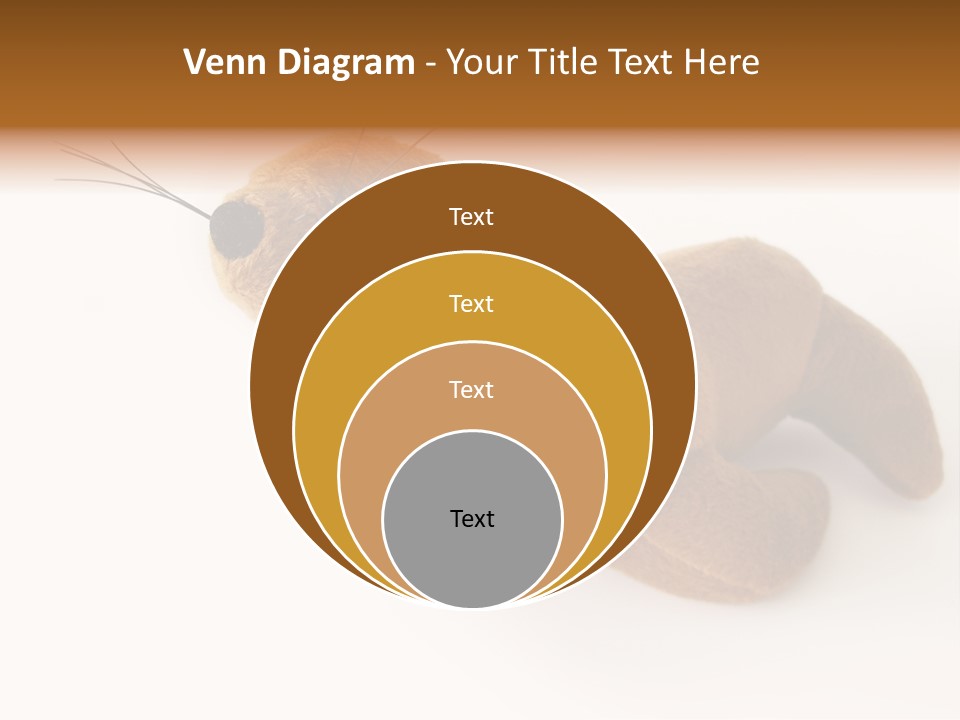 Play Toy Sealion PowerPoint Template