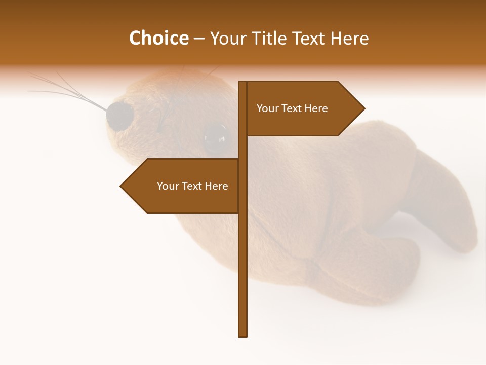 Play Toy Sealion PowerPoint Template