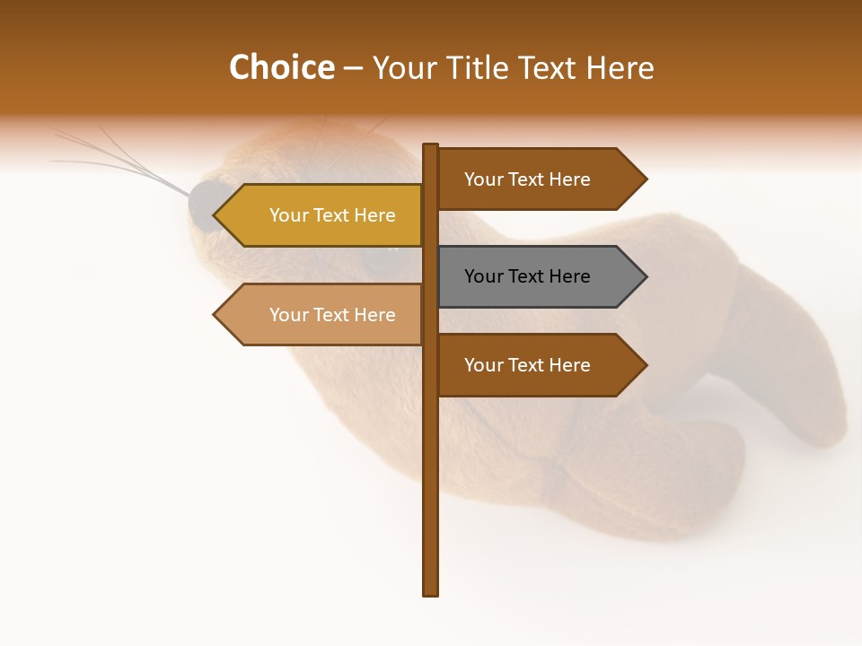 Play Toy Sealion PowerPoint Template