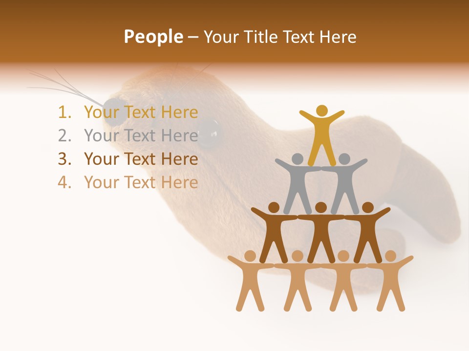 Play Toy Sealion PowerPoint Template