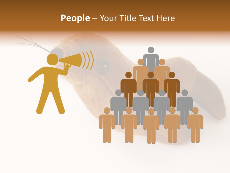 Play Toy Sealion PowerPoint Template