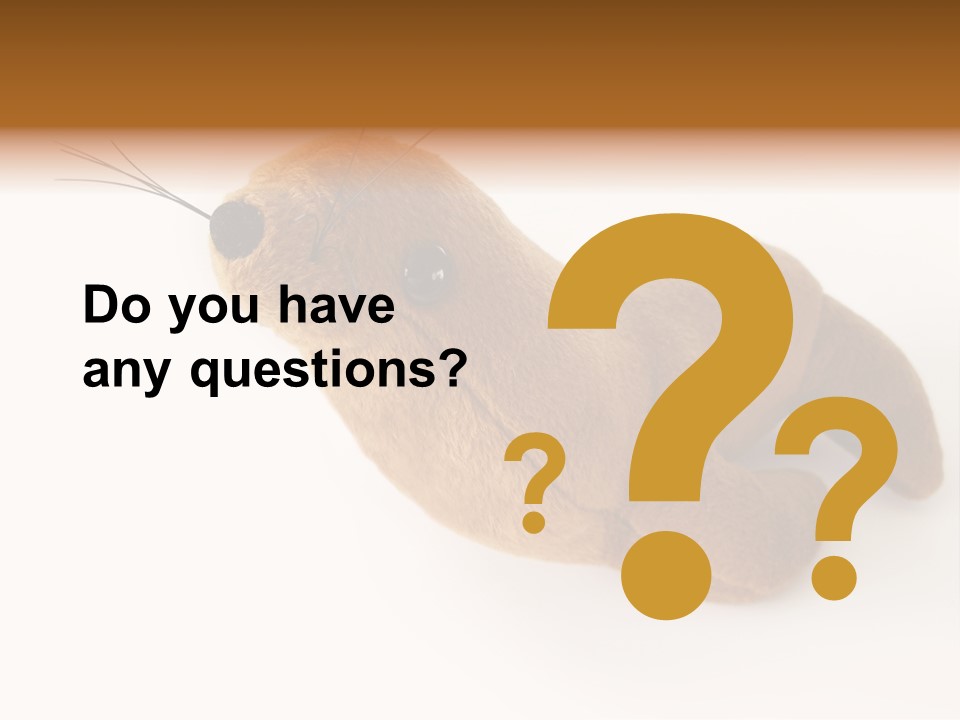 Play Toy Sealion PowerPoint Template