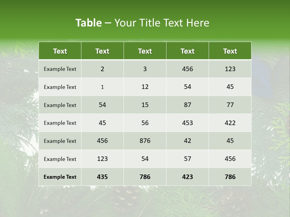 Framed Decoration Ornament PowerPoint Template