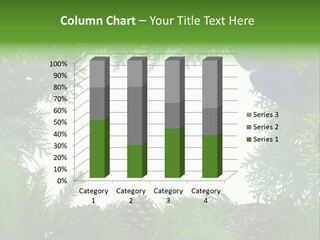 Framed Decoration Ornament PowerPoint Template