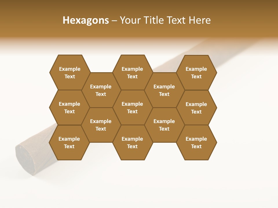 Caribbean Wealth Leaf PowerPoint Template