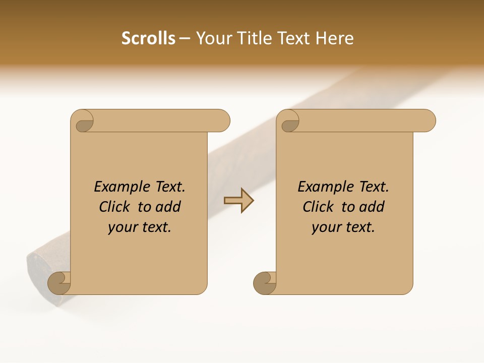 Caribbean Wealth Leaf PowerPoint Template