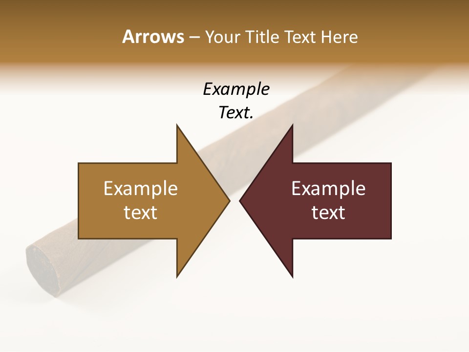 Caribbean Wealth Leaf PowerPoint Template