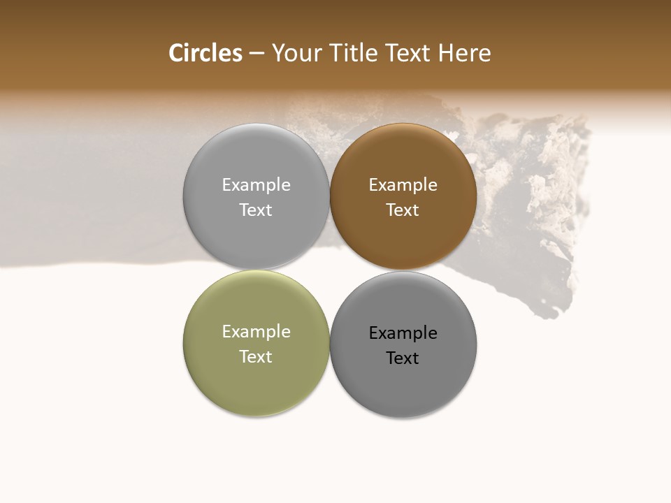 Unhealthy  Ash PowerPoint Template