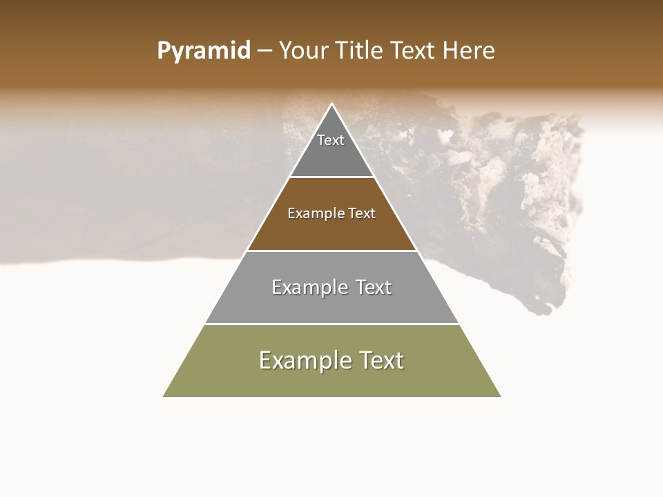 Unhealthy  Ash PowerPoint Template