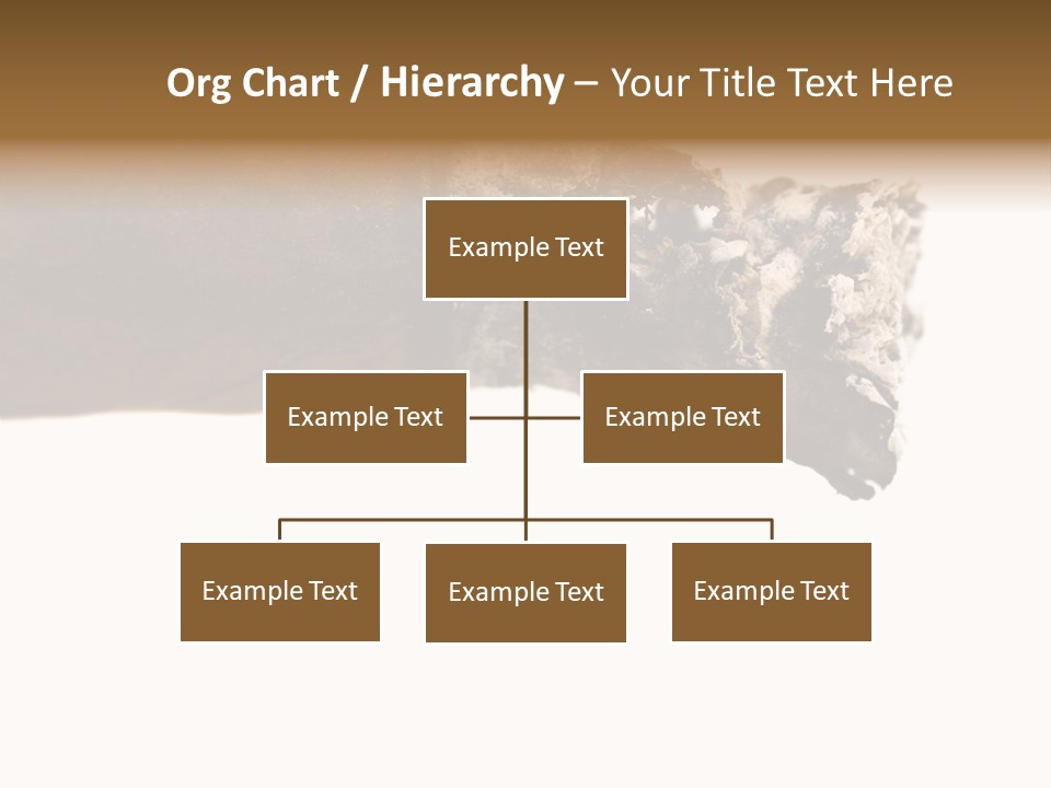 Unhealthy  Ash PowerPoint Template