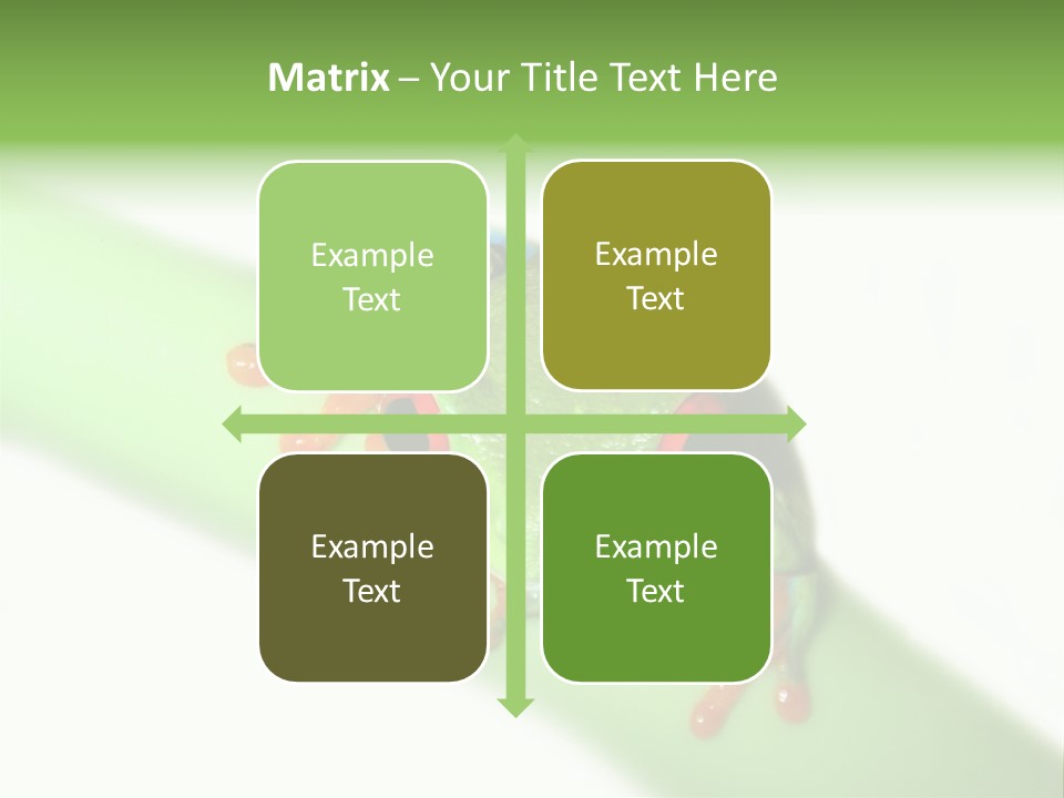 Isolated On White Looking Close Up PowerPoint Template