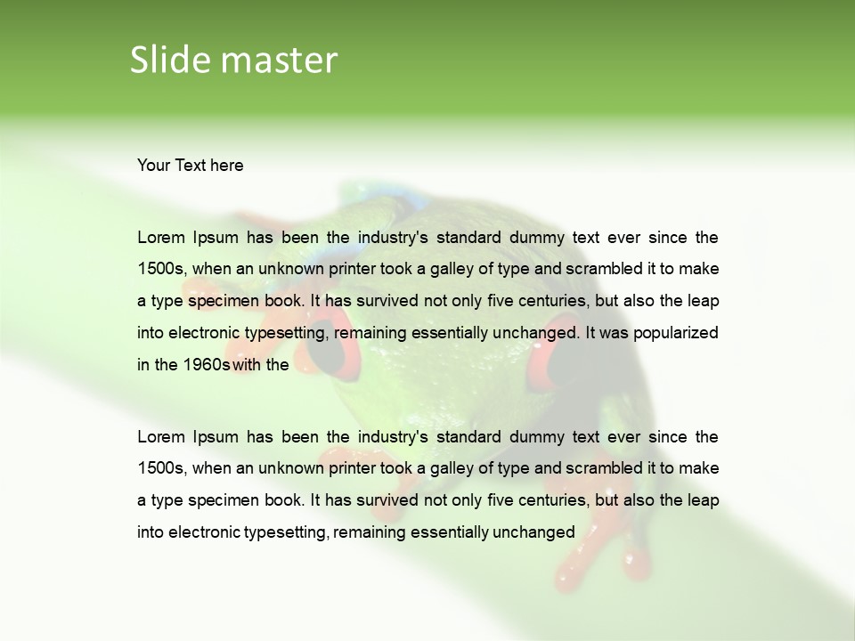 Isolated On White Looking Close Up PowerPoint Template