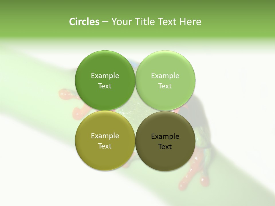 Isolated On White Looking Close Up PowerPoint Template