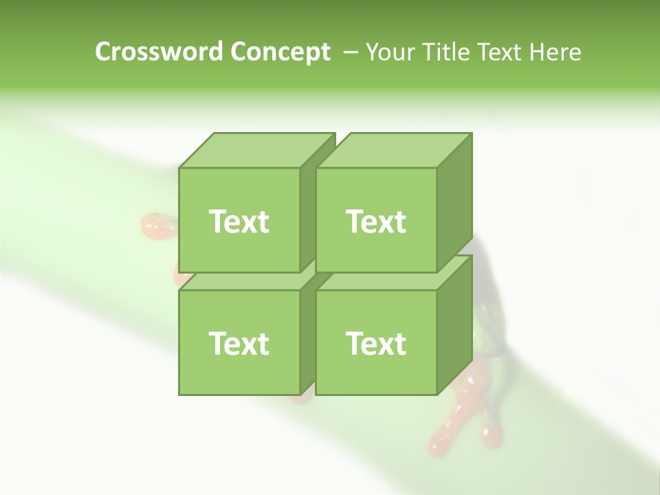 Isolated On White Looking Close Up PowerPoint Template